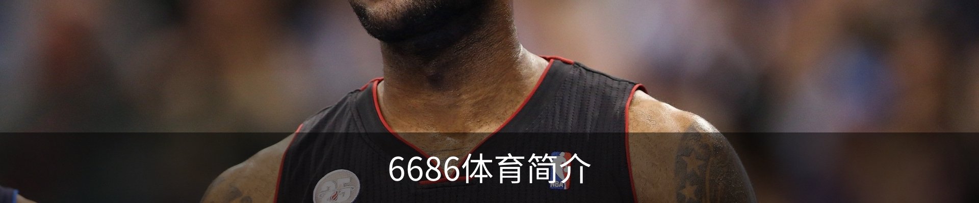 6686体育简介
